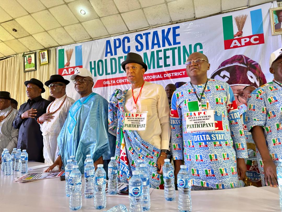 2027: Delta Central APC Stakeholders Pledge Unalloyed Loyalty To Tinubu ...